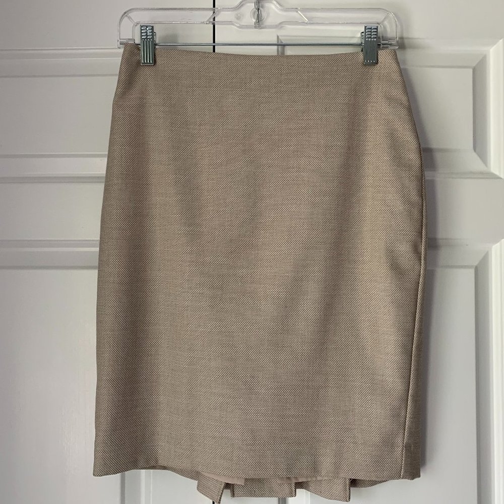 Ann Taylor Skirt